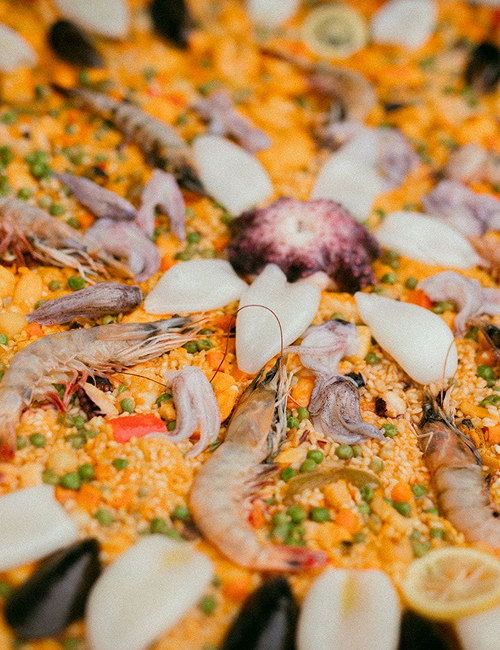 WhatsApp Image 2026-01-07 at 03.15.07 (2)